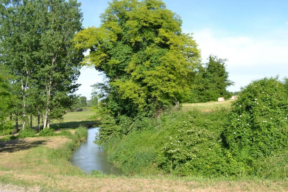 Agriturismo Il Campagnino เกรโมนา ภายนอก รูปภาพ