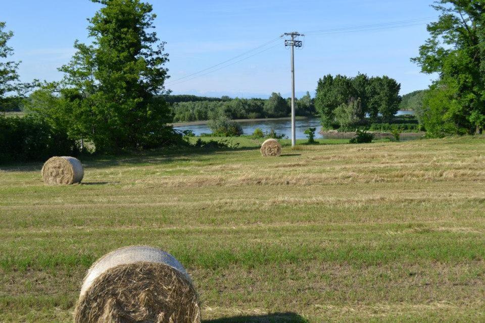 Agriturismo Il Campagnino เกรโมนา ภายนอก รูปภาพ