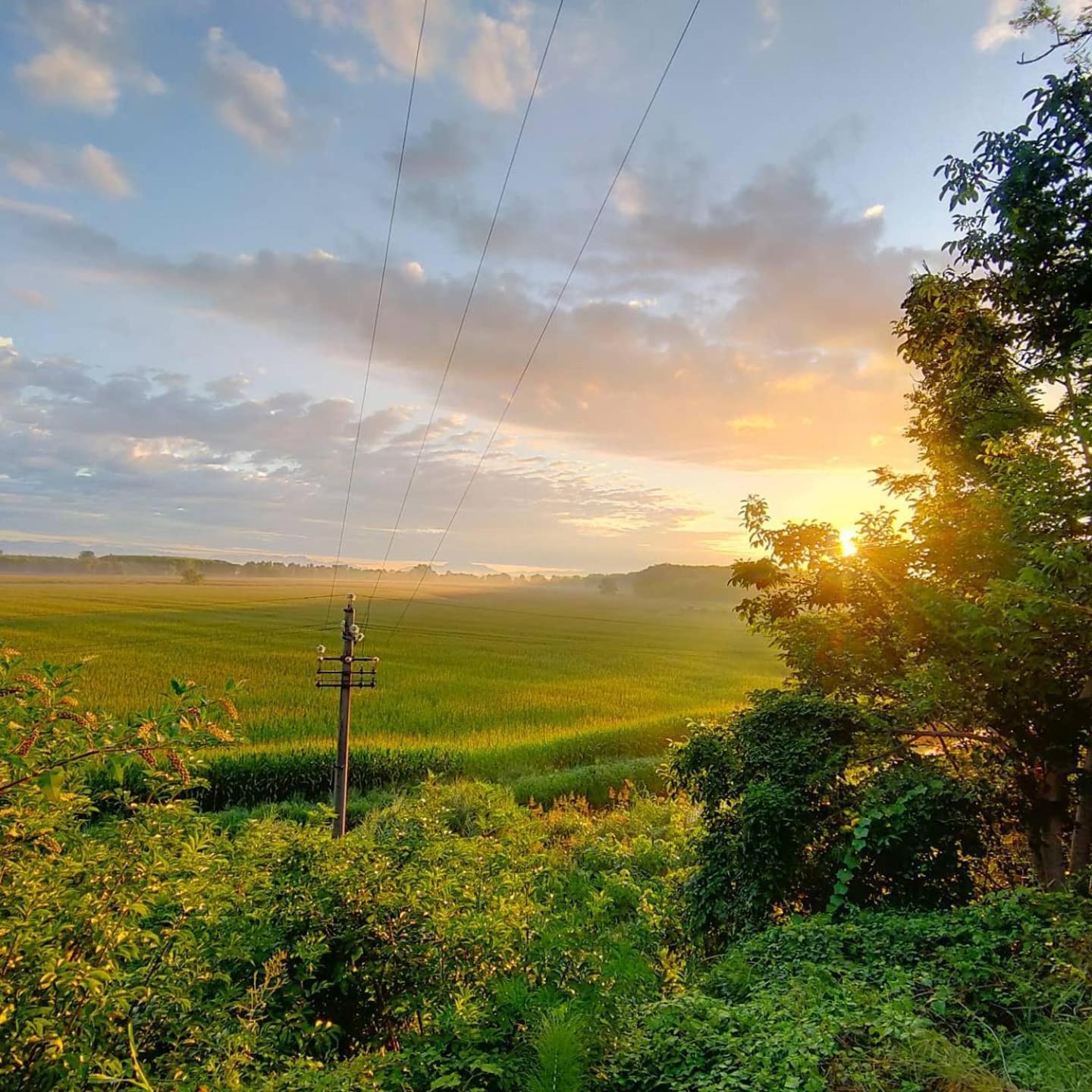 Agriturismo Il Campagnino เกรโมนา ภายนอก รูปภาพ