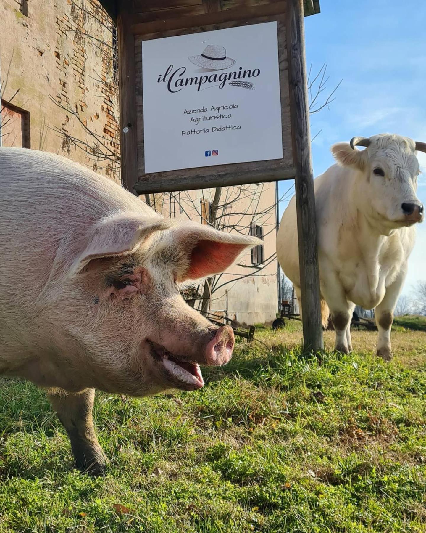 Agriturismo Il Campagnino เกรโมนา ภายนอก รูปภาพ
