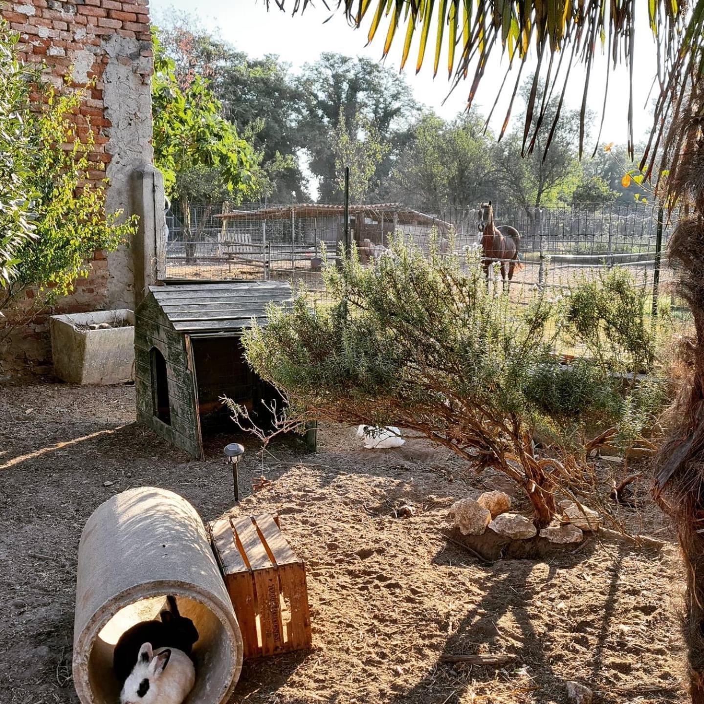 Agriturismo Il Campagnino เกรโมนา ภายนอก รูปภาพ